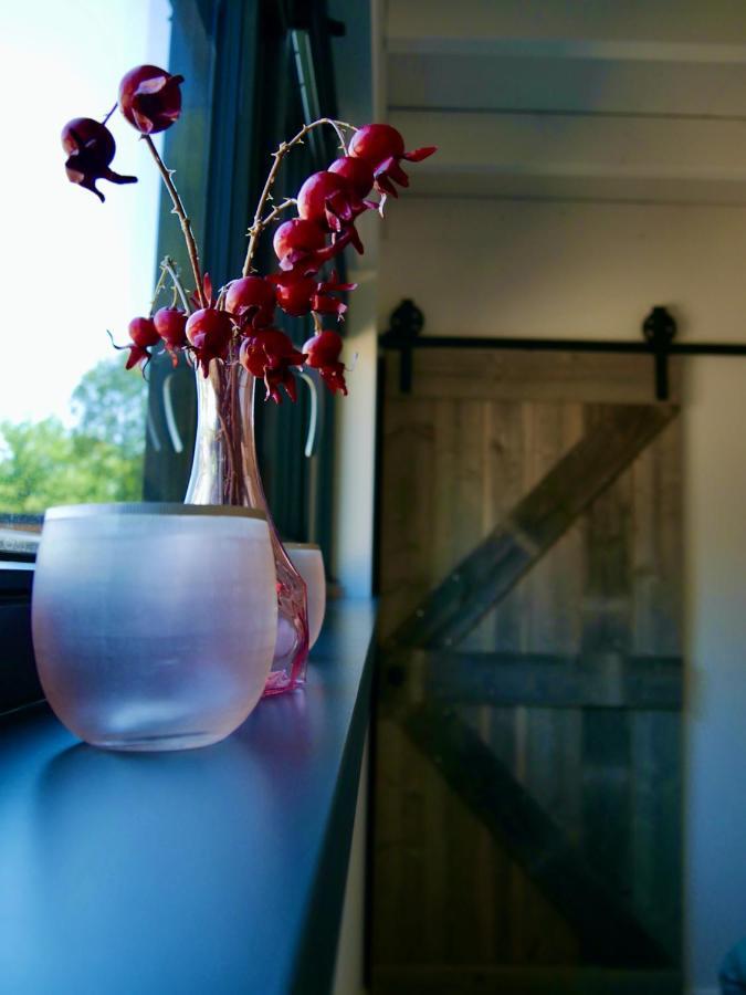Bed & Breakfast Udens Buiten Веґел Екстер'єр фото